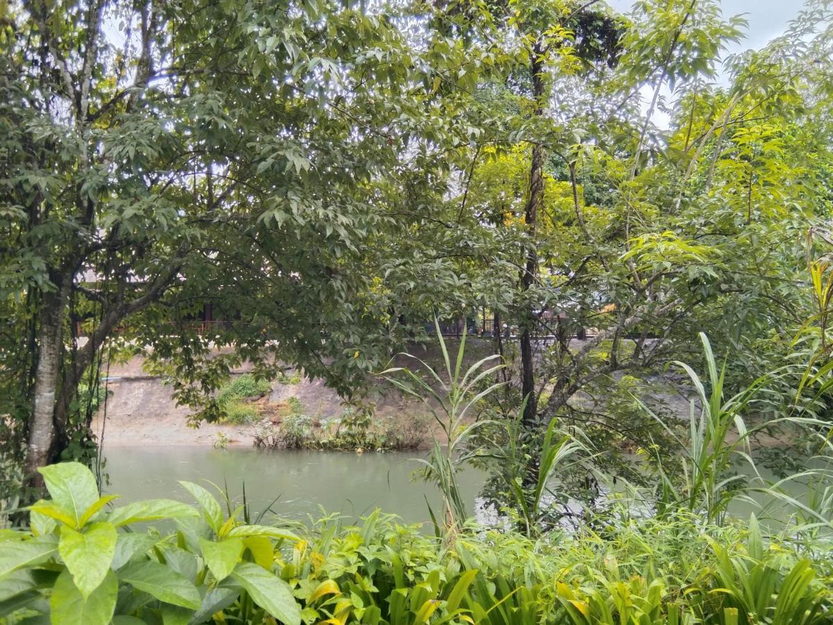 Khao Sok River & Jungle Resort Khao Sok National Park المظهر الخارجي الصورة