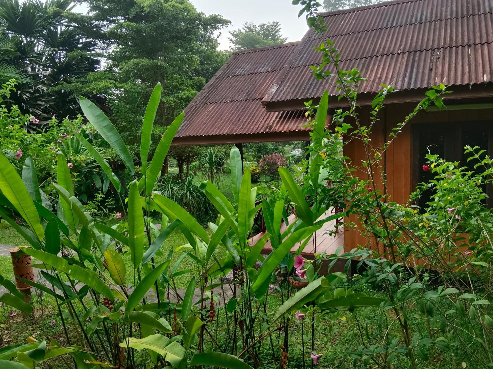 Khao Sok River & Jungle Resort Khao Sok National Park الغرفة الصورة