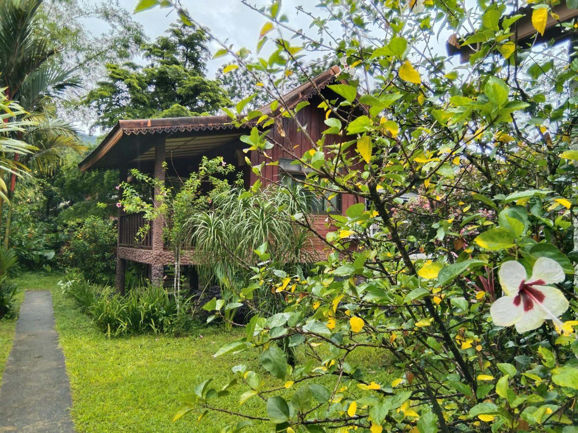Khao Sok River & Jungle Resort Khao Sok National Park الغرفة الصورة