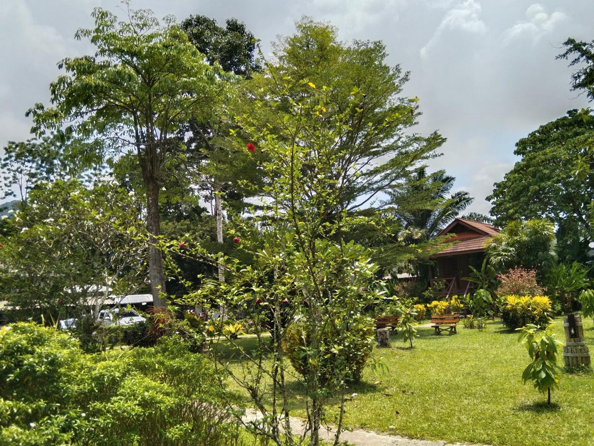 Khao Sok River & Jungle Resort Khao Sok National Park الغرفة الصورة